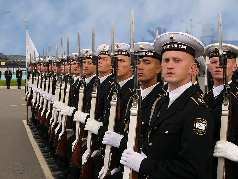 Сколько в россии офицеров. Матрос РФ Северного флота. ВМФ РФ матросы Северный флот. Военный моряк. Военный морской флот.