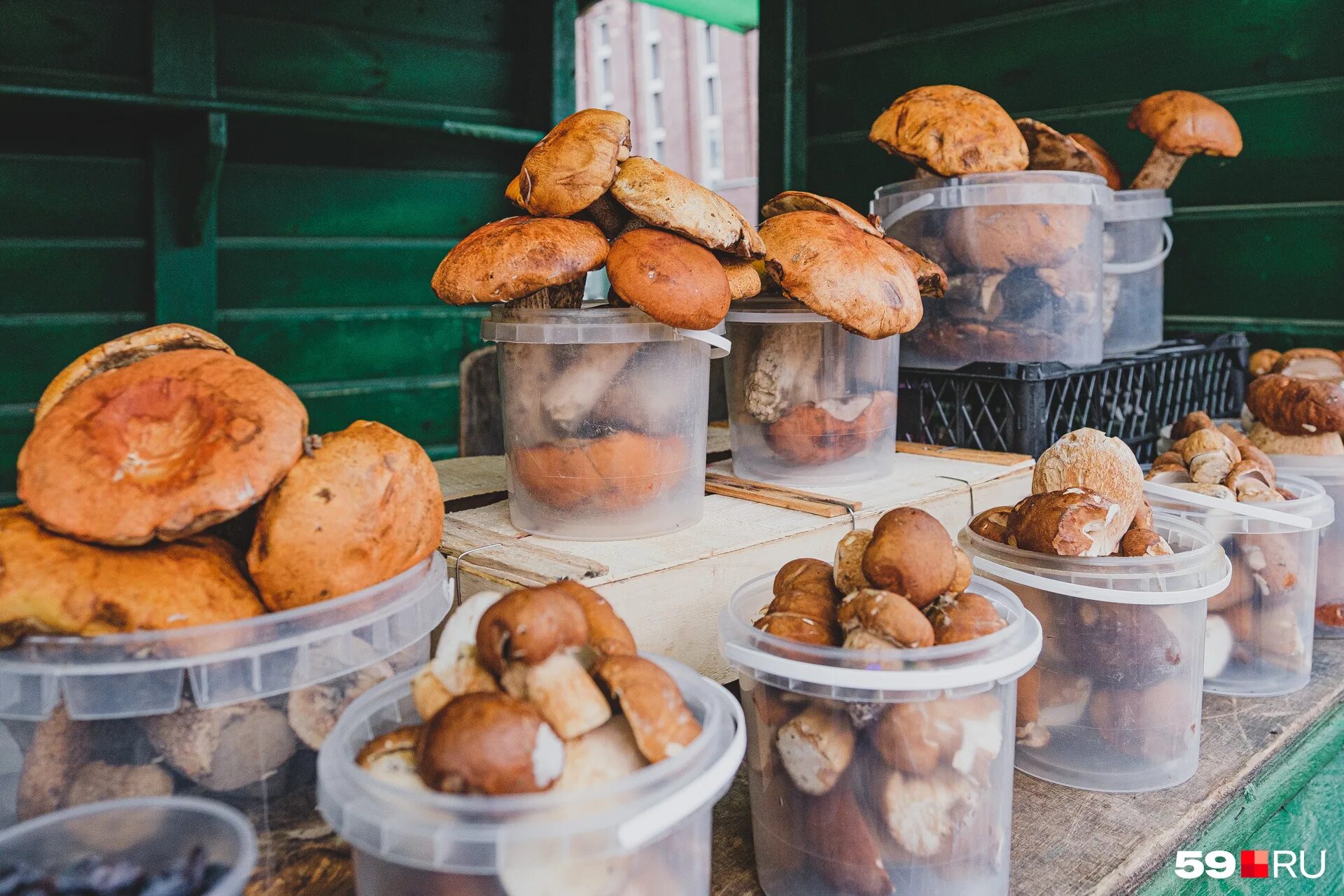 Где продают грибы. Продают грибы на рынке. Грибы в тазике. Грибы на прилавке. Белые грибы продаются.