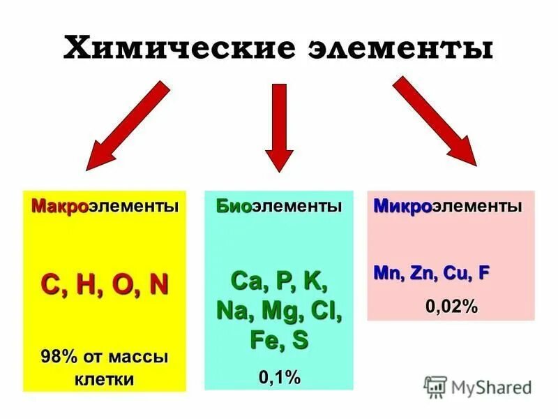 Какие химические элементы называются макроэлементами. Какие химические элементы называются макроэлементами. Концентрация микроэлементов в клетке. Химические элементы клетки макроэлементы. Химические элементы живой клетки подразделяются.
