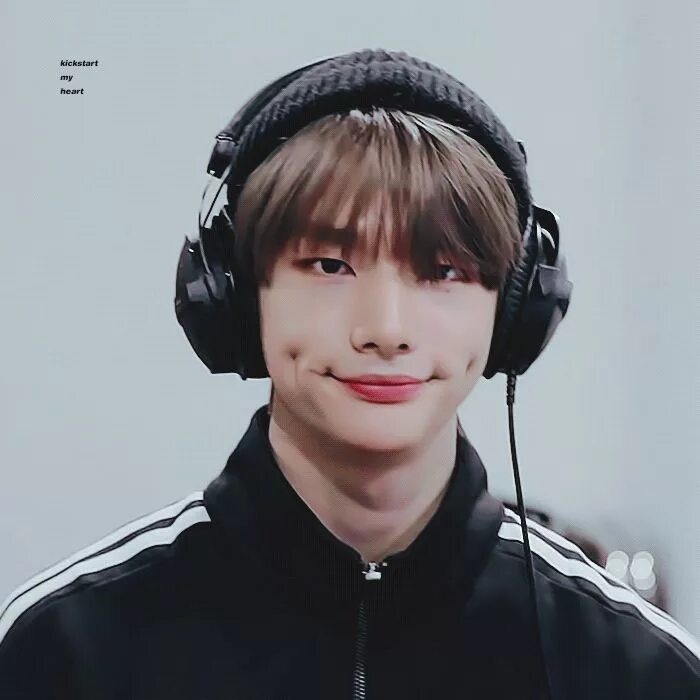 Смешные картинки stray kids