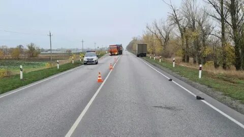 Зимовники волгодонск