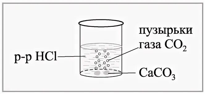 Выделение пузырьков газа. Взаимодействие карбоната кальция с соляной кислотой. Карбонат кальция и соляная кислота. Взаимодействие кальция с соляной кислотой. Реакция карбоната кальция с соляной кислотой.