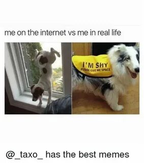When the internet was made