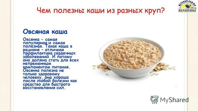 Каша овсянка на молоке. Сообщение про геркулесовую кашу. Каша. Каша nestle безмолочная овсяная. Со скольки овсяная каша.