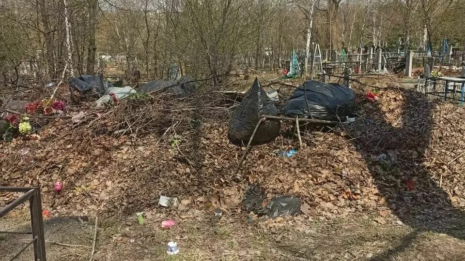 Старое кладбище город уссурийск. Заброшенное кладбище. Кладбище фото. Заброшенная могила солдата. Стреленко уссурийское кладбище.