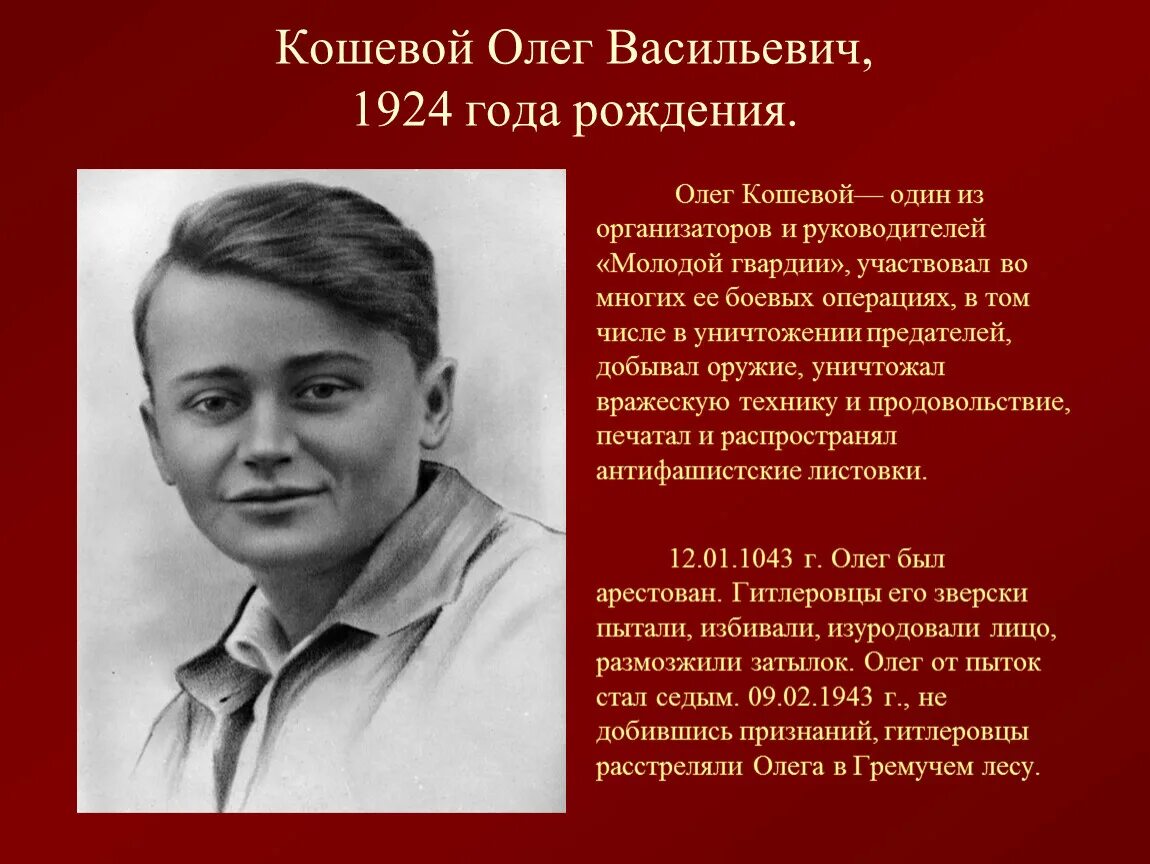 Молодая гвардия характеристика главных героев