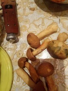 Желтые маслята как готовить