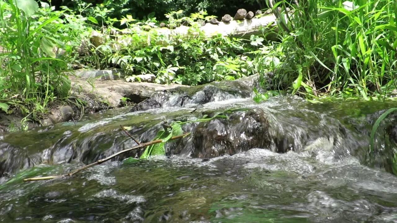 Вода бежит с ручьями споря. Река Цемес. Река Цемес в Новороссийске. Бегут ручьи. Течет ручей.