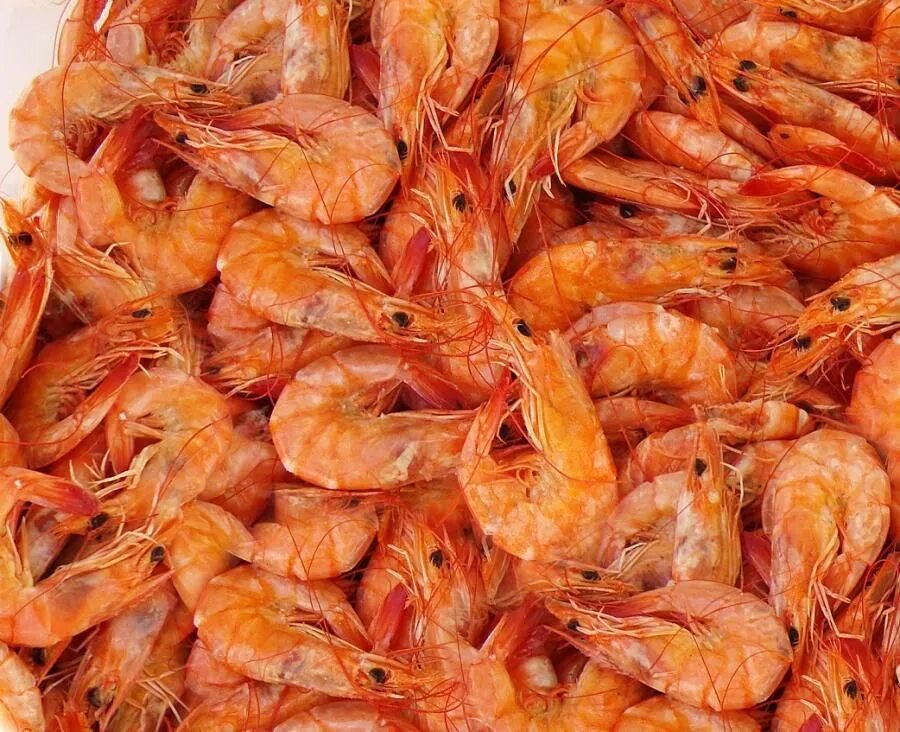 креветка 90 фото