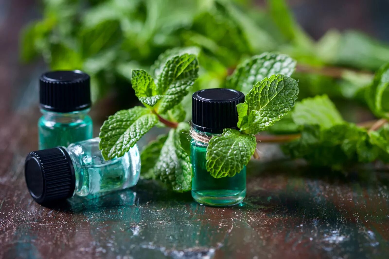 Эфирное масло мяты фото. Menthol oil. Масло перечной мяты. Ментоловое масло. Мятное эфирное масло.