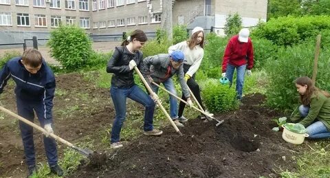 Школа трудовых практик