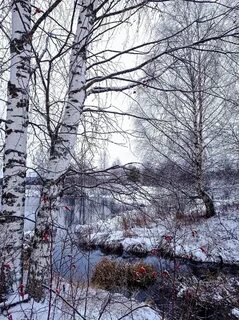 Межсезонье фото