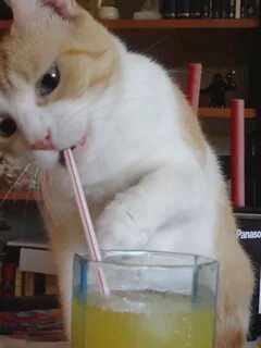 Its milk