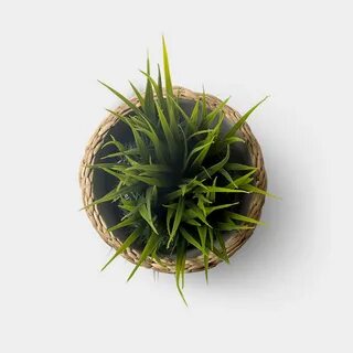 Top planting