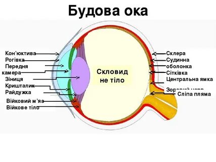 Оке уроки