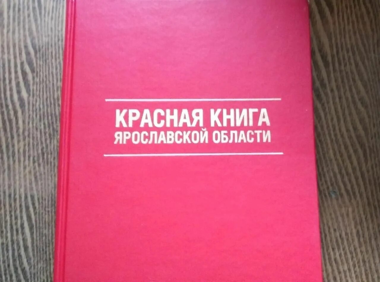 Продам красная книга