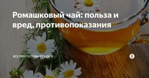 Ромашка луговая чай польза