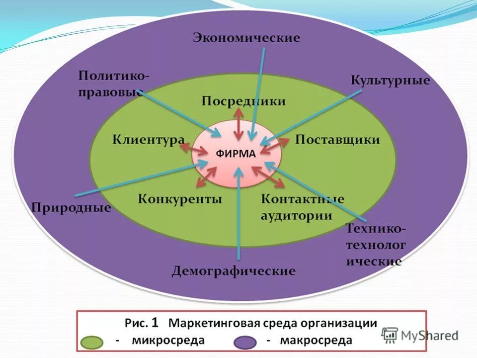 Поставщики конкурентов. Маркетинговая среда предприятия. Маркетинговая среда схема. Макросреда маркетинга организации. Среда маркетинга фирмы.