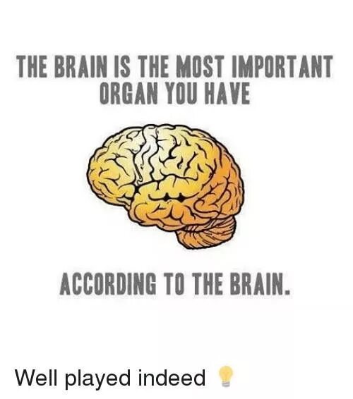 He is a brain. Brain is most important Organ according to Brain. Узнайте правило Brain. Like a Bullet to your Brain. Brain Rules Cover back.