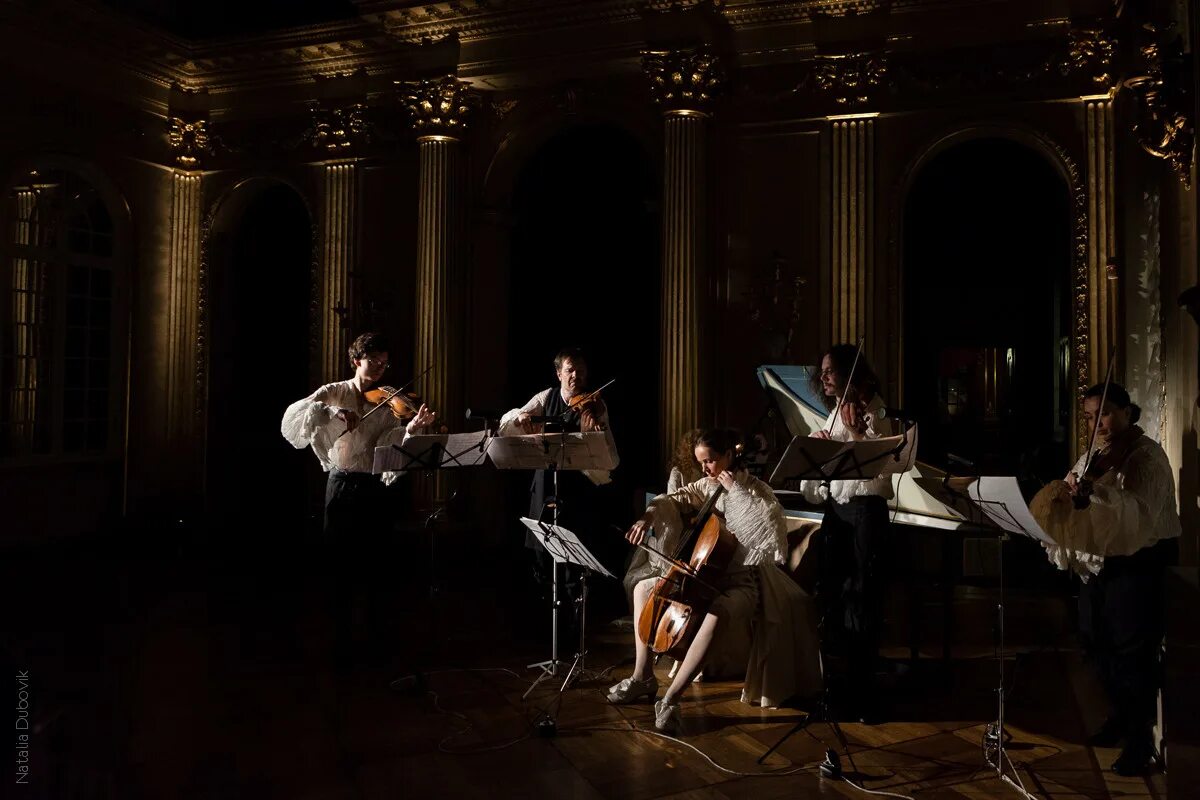 пио риччи. Concerto grosso эпоха барокко. живопись эпохи барокко. пио риччи (1850-1919). адольф фон менцель концерт для флейты фридриха великого в сан-суси.