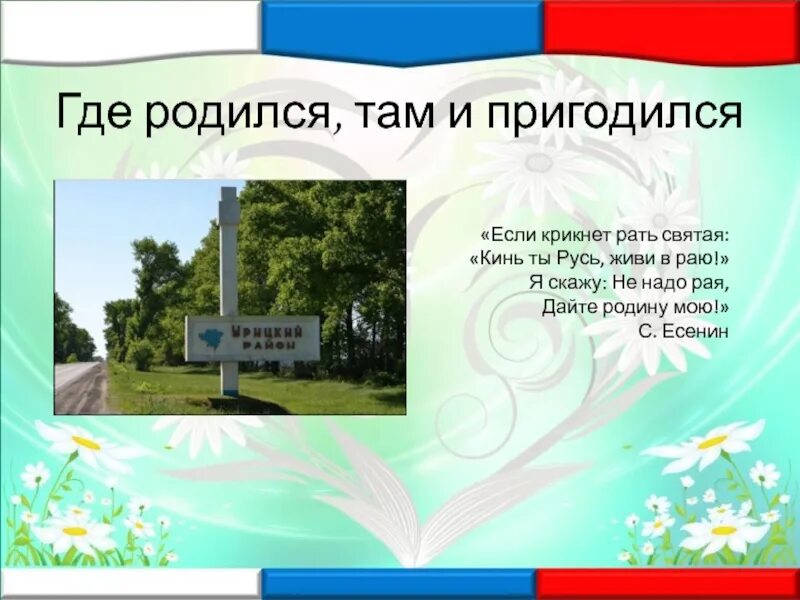 Пословица где родился там и сгодился. Где родился там. Где родился там и пригодился. Цитаты где родился там и пригодился. Поговорка где родился там и пригодился.