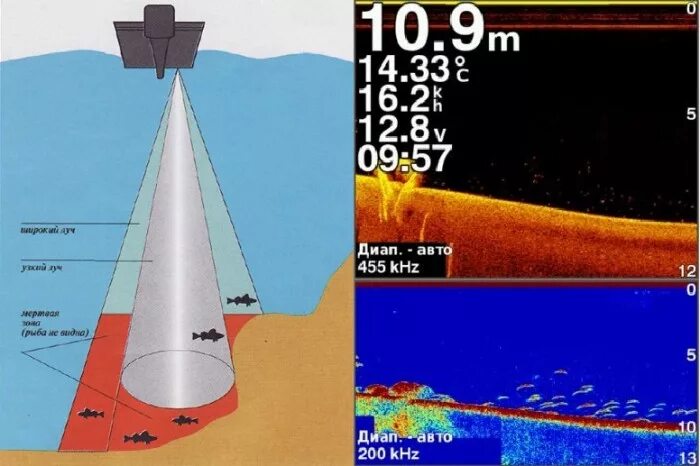 Частота 200 кгц. Частота эхолота. Ширина луча эхолота. Луч эхолота. Частоты эхолота Lowrance.