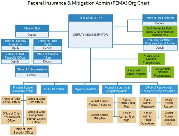 Security org. Структура fema. org chart. организационная структура airbus. организационная структура icl.
