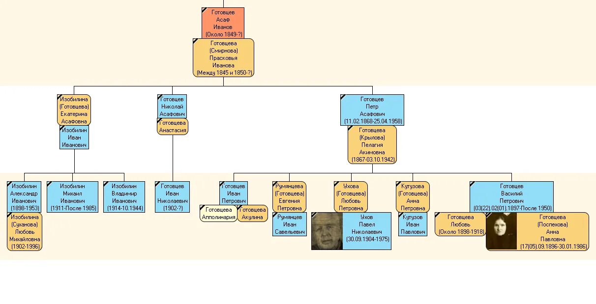 генеалогическое древо басу и дубеев