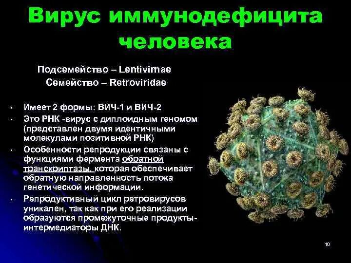 Вирус иммунодефицита человека семейство. Вирус иммунодефицита человека (ВИЧ), семейство Retroviridae. Ретровирус лентивирус. Вирус иммунодефицита человека относится к семейству. Формы спида