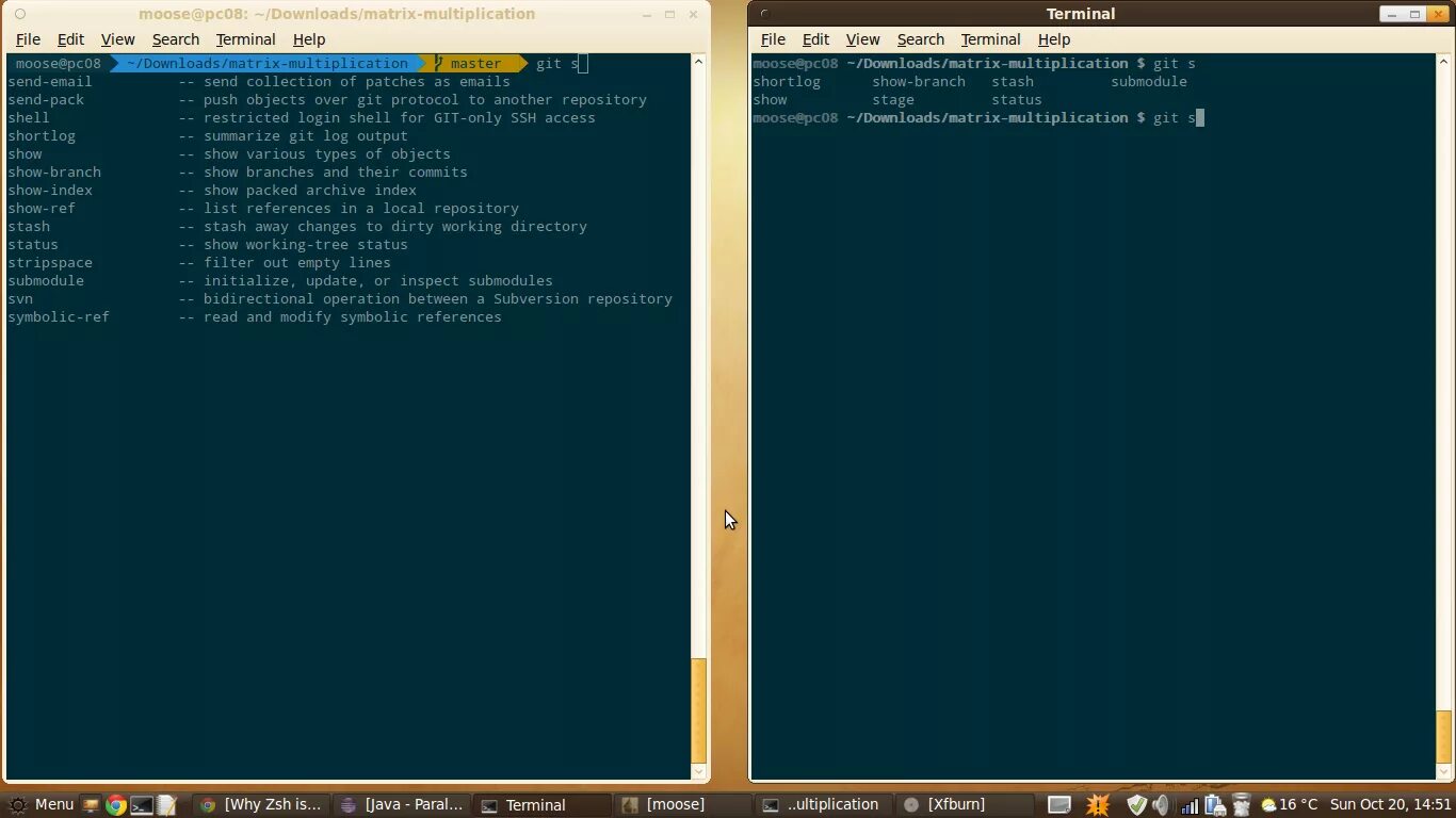 Git only. Git Terminal. Zsh vs Bash. Restricted Shell Linux. Bash Cheat Sheet.