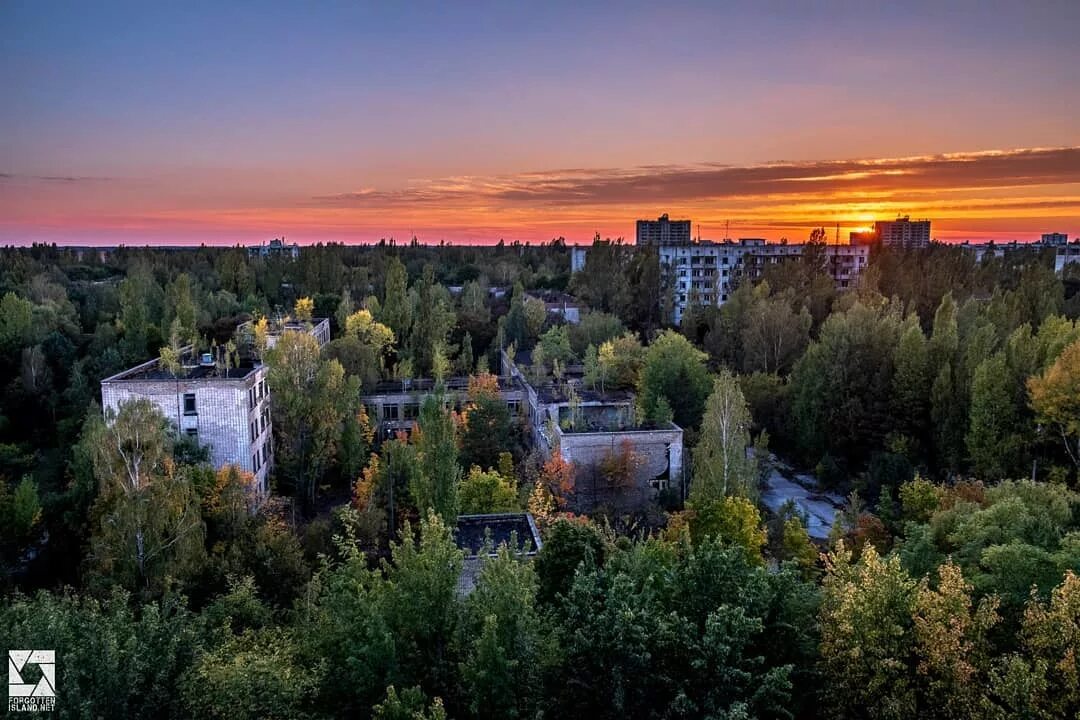 Город во франции припять. Чернобыль зона отчуждения природа. Чернобыль Припять. Чернобыль зона отчуждения Припять. Город Припять.