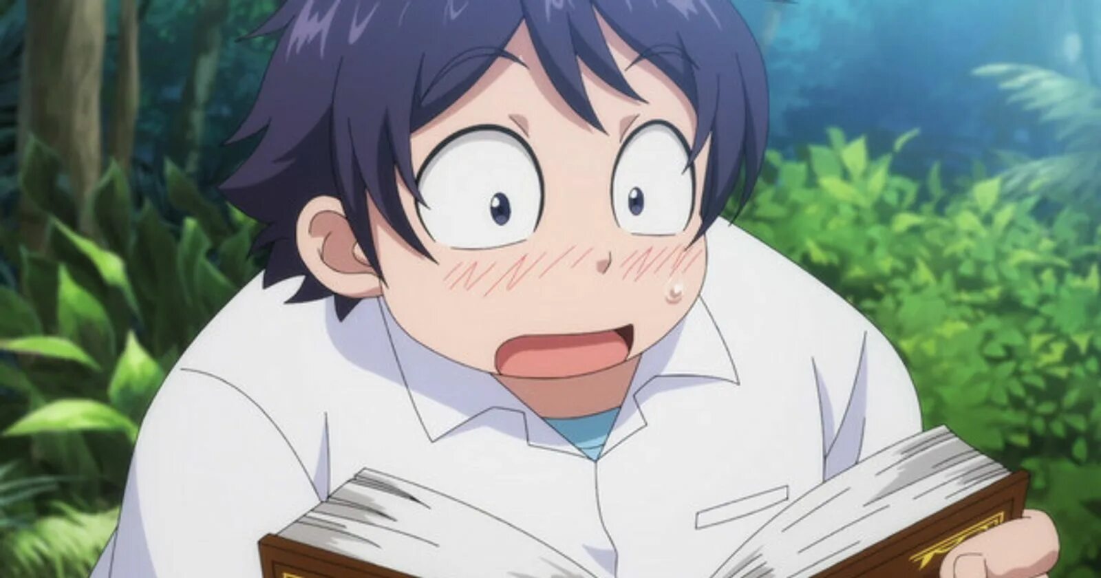 Сэйити хираги. Shiranai uchi ni kachigumi. Плод эволюции / shinka no mi - 1 сезон, 5 серия. Сэйити хираги плод эволюции. Жизнь наладилась в мгновение ока.