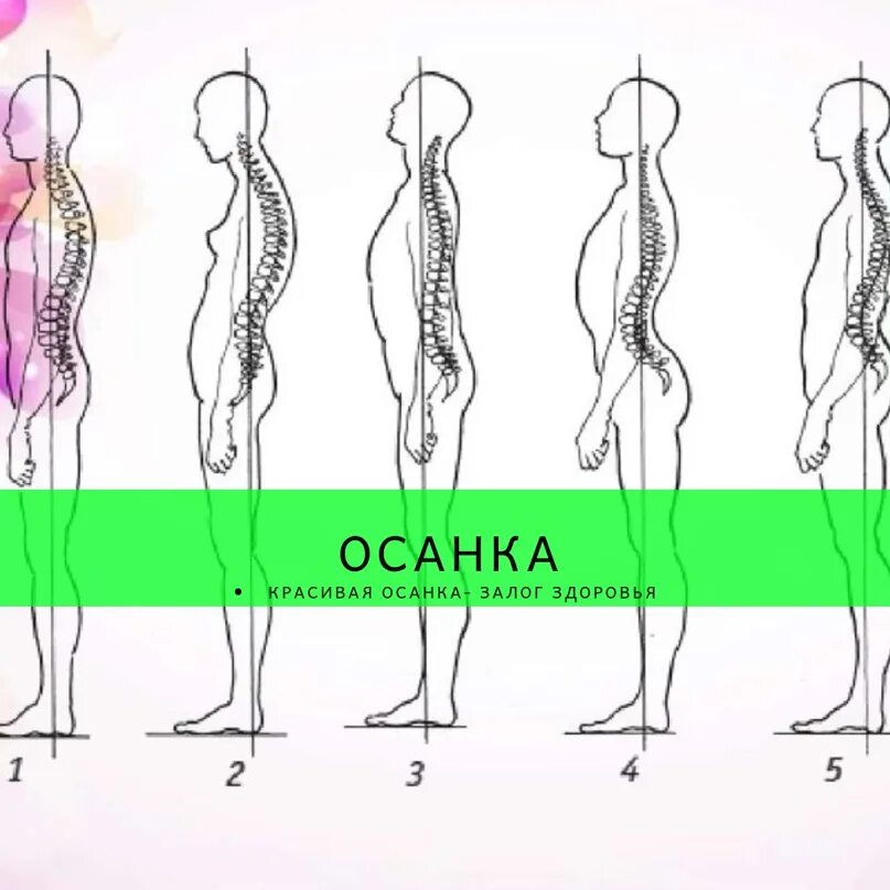Как выглядит спинка