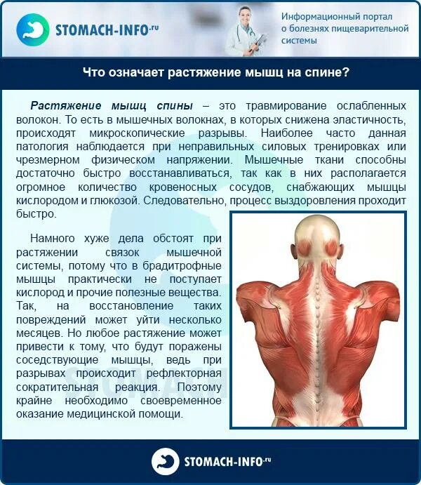 Признаки разрыва мышц. Воспаленные мышцы спины. болят спинные мышцы. разрывы и надрывы мышц спины.