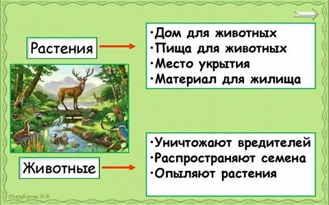 Невидимые нити тест 2 класс окружающий мир