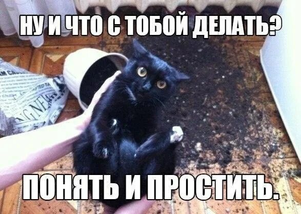 Иди делать уроки. С днёмрождениягульнара. Ты сделал свой выбор. Крутой вытри под губой мем. Цитаты вы сделали свой выбор.