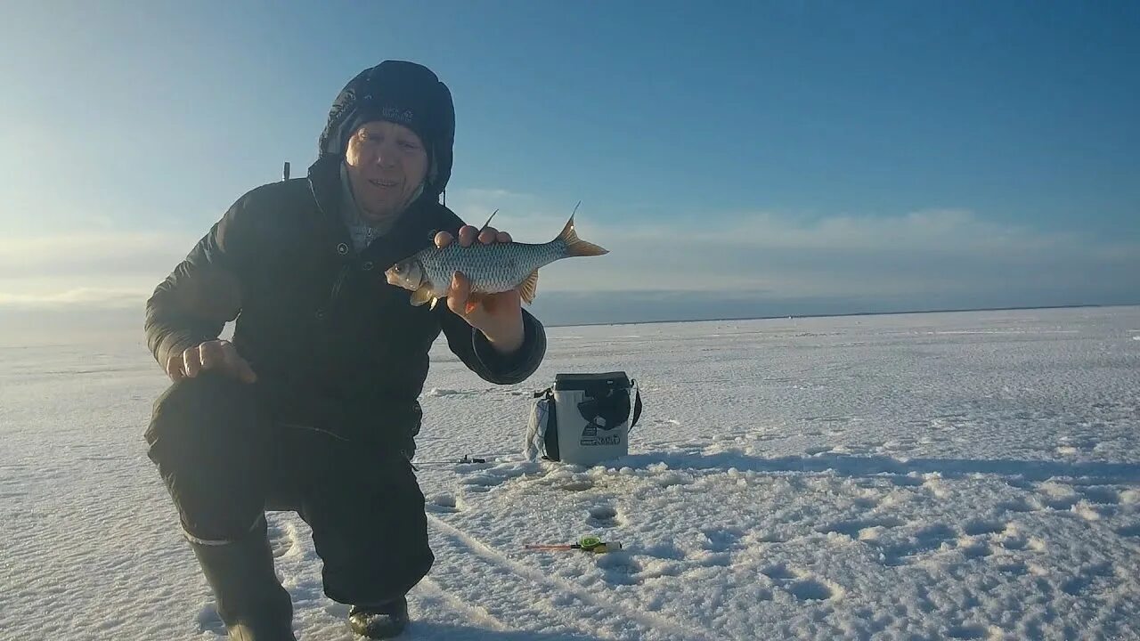 Рыбинское водохранилище рыбалка. Плотва на Рыбинском водохранилище. Ловля окуня зимой на Рыбинке. Зимняя рыбалка на Рыбинском водохранилище.