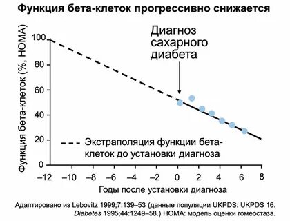 Функции бета клеток