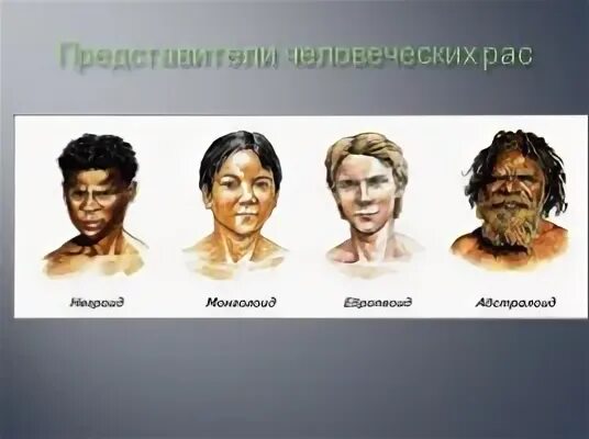 Расы человека европеоидная монголоидная негроидная. Негроидная и монголоидная раса. Европеоид монголоид негроид. Расы Европеоиды , негроиды ,монголоиды. Человеческие расы.