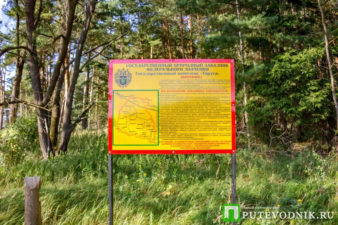 В тарусских страницах содержатся материалы