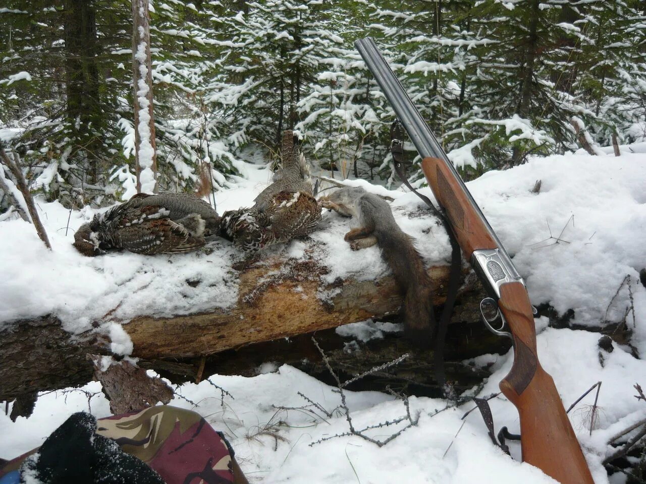 Добыча объектов животного. Охота зимой. Охотник в зимнем лесу. Охотничье ружье в лесу. Охотник зимой в лесу.