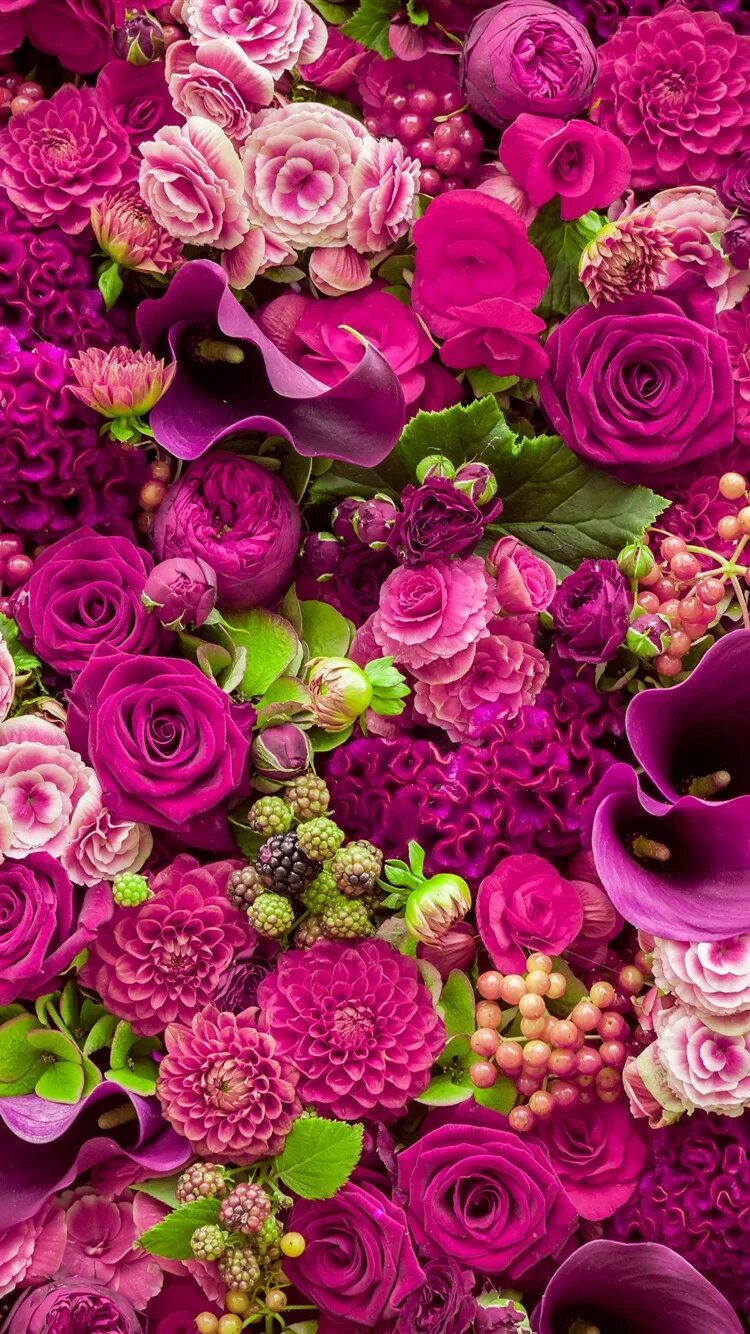 Красивые картинки с цветами для телефона. Красивые цветы. Красивый букет цветов. Роскошные цветы. Красивые цветочки.
