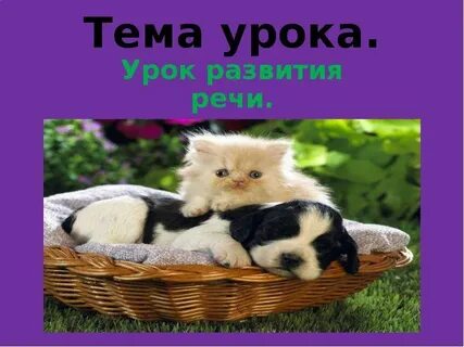 Опиши животное