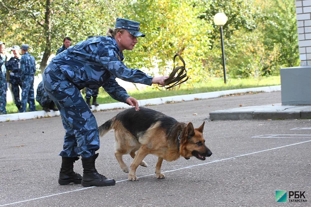 Сколько получают кинологи в полиции