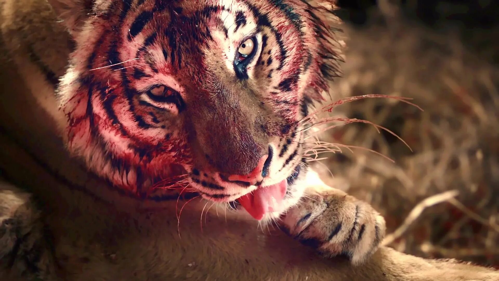 под ультрафиолетом эро. ленинград кольщик клип. ленинград — кольщик актриса. ленинград кольщик клип. кольщик ленинград клип.