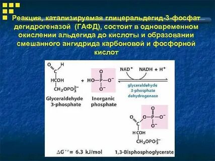 Ацетилен и формальдегид