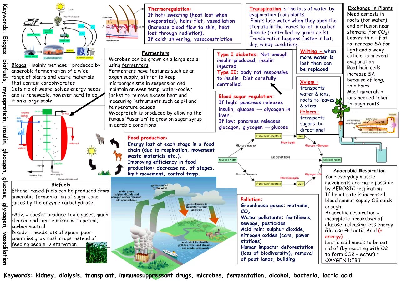 Извержение вулкана сакурадзима. What the weather. Producing, transporting, and cooking food releases a lot of greenhouse gases. Снежные колонны. Извержение вулкана сакурадзима в японии.
