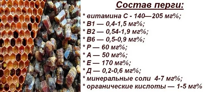 Химический состав перги пчелиной. Перга пчелиная состав витаминов. Химический состав перги пчелиной таблица. Перга пчелиная витамины минералы.