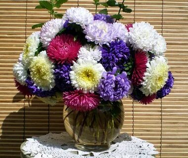 Красивый букет из астр