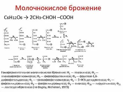 При молочнокислом брожении 160 г